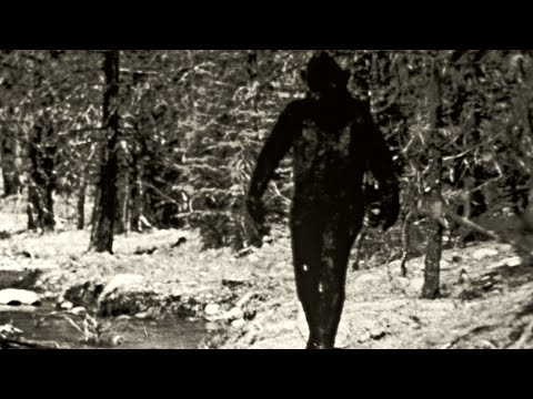 B73a4393e62dd962851f8672935dbfbb