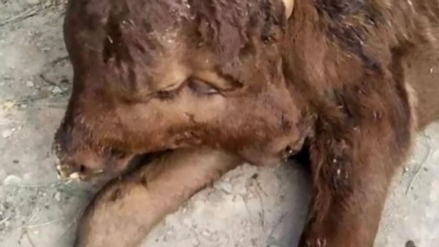 9ef37f9b2419175d16722b22646f788c