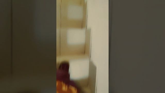 A42f0b4d2803c77bba04c0ec5f1390d1