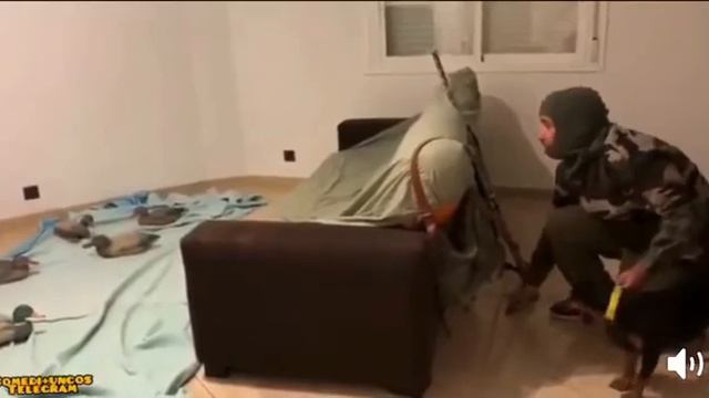 Кто-нибудь скажите ему, что самоизоляция закончилась 😂