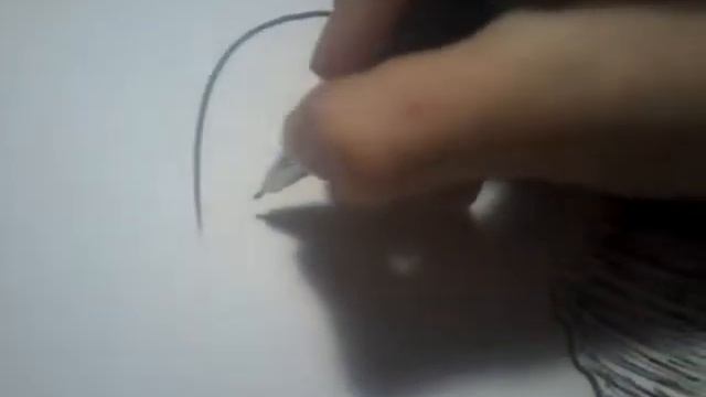 Скетч: петух