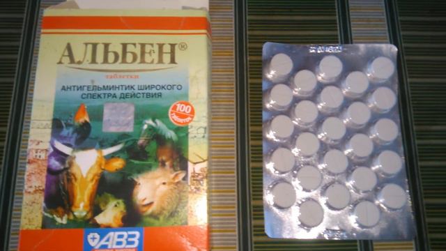 Чем глистогонить собак и кошек? Чем глистогонить коров, свиней, птицу, кроликов, лошадей, коз?