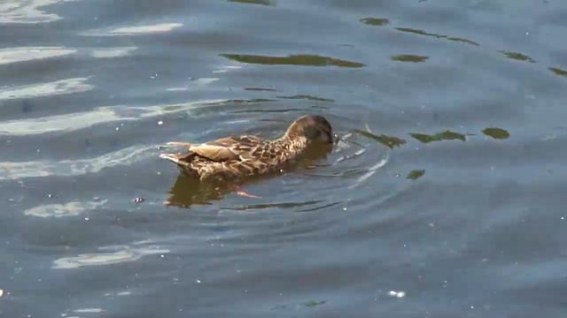 A9755c2e0c459c77fb384264678d9792