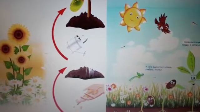 Экологическое занятие 