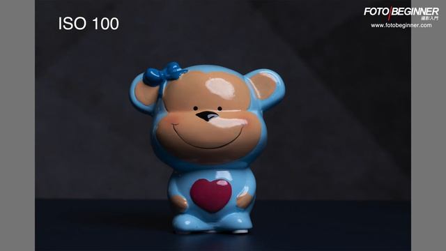 給攝影新手的你，實測Canon 850D 好唔好 (Canon Rebel T8i)？[中文字幕]  #canon850D