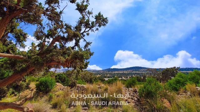 (? موسيقى هادئة ونوم عميق) تأمل وإسترخاء في أبها - السعودية #ASMR