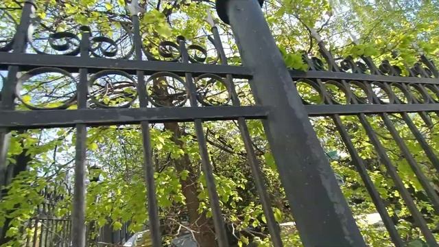 ПРАЗДНИЧНЫЙ КОЛОКОЛЬНЫЙ ПЕРЕЗВОН. РАДОНИЦА.СПАСОПЕСКОВСКИЙ пер.4.