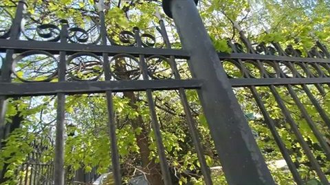 ПРАЗДНИЧНЫЙ КОЛОКОЛЬНЫЙ ПЕРЕЗВОН. РАДОНИЦА.СПАСОПЕСКОВСКИЙ пер.4.