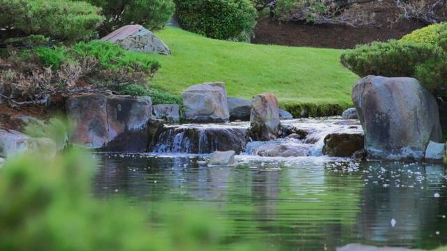 Japanese Scenery, Fleeting And Ethereal.
