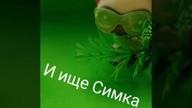 LPS/фотосессия LPS/