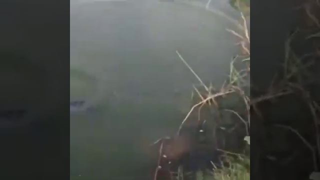 76e75b240272979f50a2119285cc270d