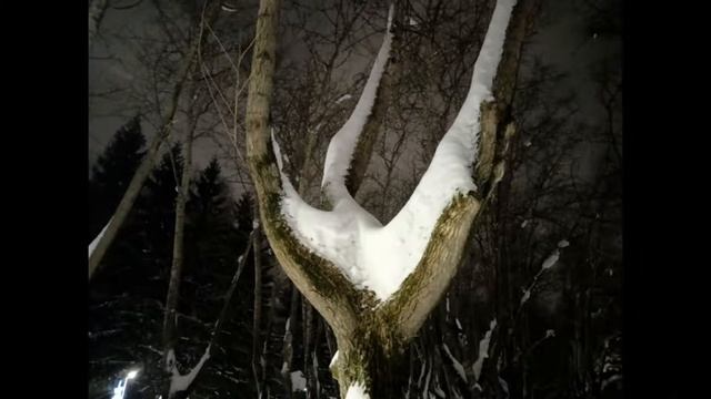 Клип Мода Природа Аналогия Спорт Авторские фото и фото/музыка из свободного доступа Зима Киров 2022