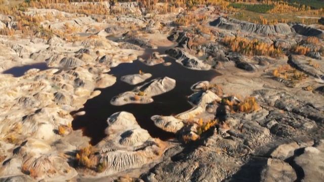 Цветные сны