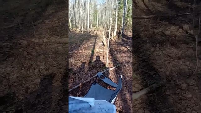 Прогулка 29 апреля 2023 года. Поиск пиратского клада.