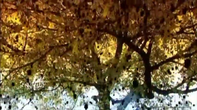 Gulaqa TENHA Gülağa Tənha: PAYIZ YAĞIŞI  Həlimət Sultan  Səməndər Kərimov  Emil ibrahim