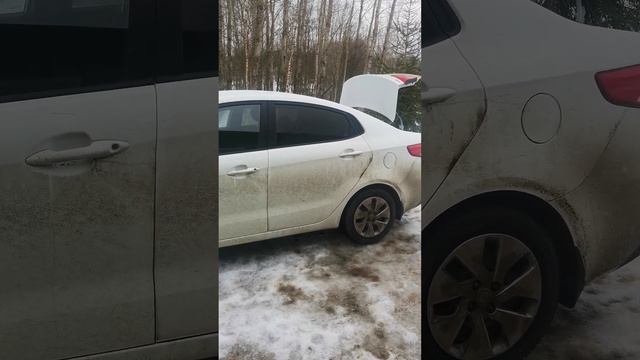 Уборка и экологическая забота