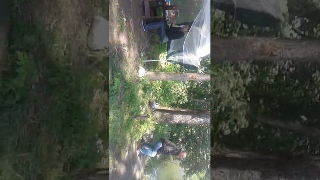 Рыбалка,отдых р Самара с.Орловщина Новомосковский район.