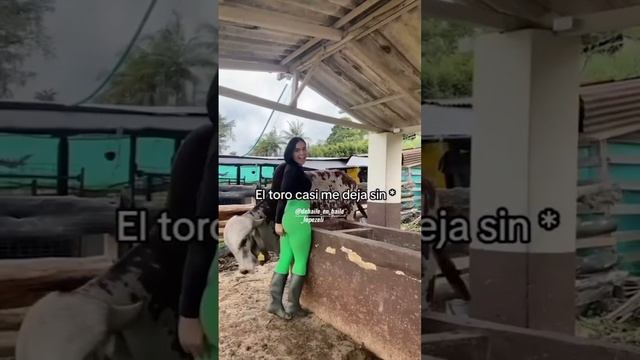 SE KLAVÓ EL PINGÓN KUERNO POR EL KULO????✨??????