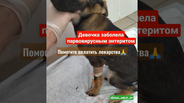 🆘ЗАБОЛЕЛА ДЕВОЧКА ПАРВОВИРУСНЫМ ЭНТЕРИТОМ🆘