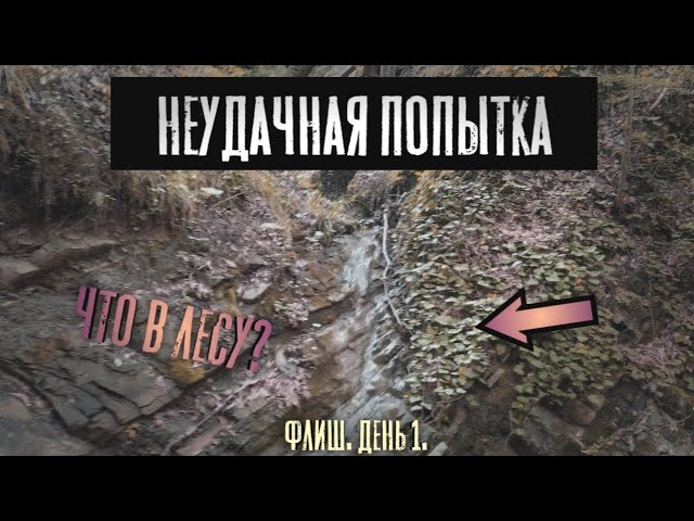 Изучение флиша Чёрного моря. Нарвались  Research of flysch deposits. Whats in the woods? Speleo