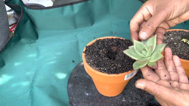 3a076ab907189541adbb61800dbad704