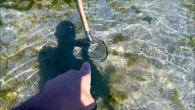 Фортуна улыбнулась! Самый удачный выход на пляж в 2020 году! Золото + Серебро!