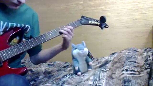 Испытание говорящего хомяка электрогитарой