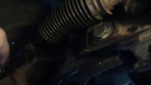 Бюджетные находки: гид по низким ценам