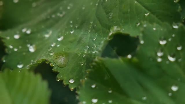 Feeling So Sad!!! | 🎻 Violin Music