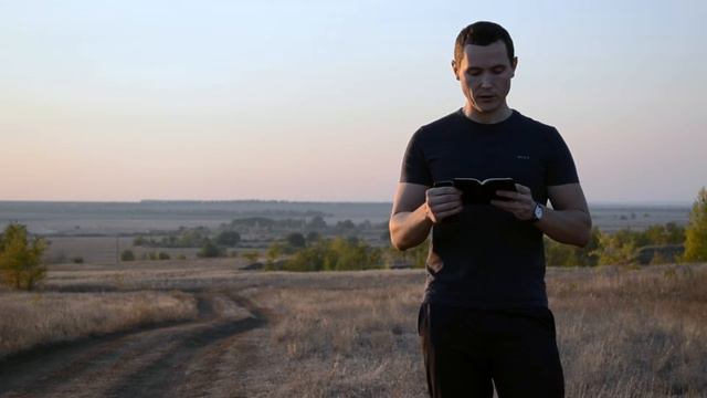 Honey102 Ru #4 Чем полезен и из чего состоит мёд