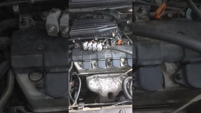 Honda Edix
