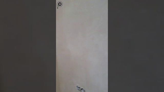 #жесть бешенные слои #штукатурки #ремонт #спб #штукатурка