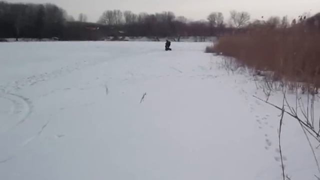 Гибридный скутерок 