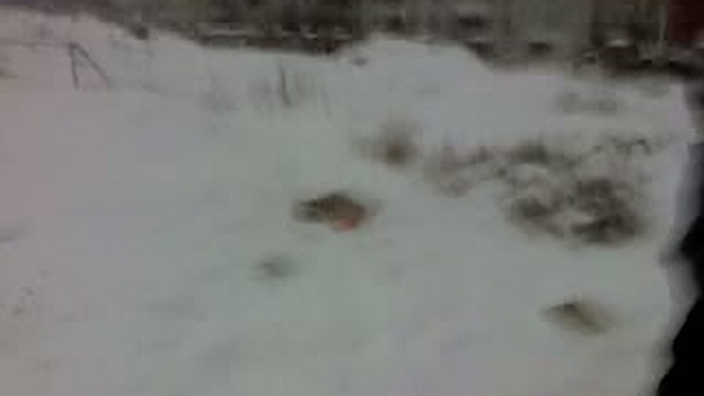 723e65216879125c6e61d6c21c8713b8