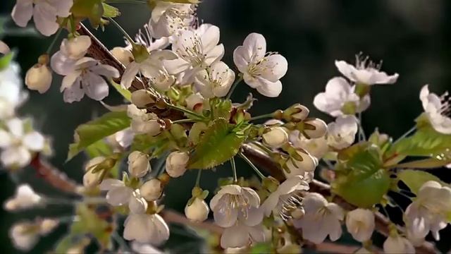 902e902fb6574631c2d64781594e0bcc