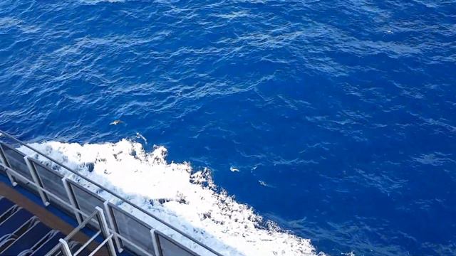 08.12.2016. Круиз, лайнер. Карибское море.