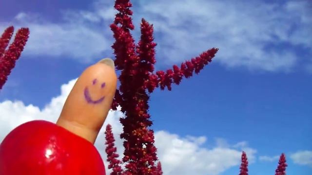 ПУСТЬ В ДУШЕ БУДЕТ ВЕСНА