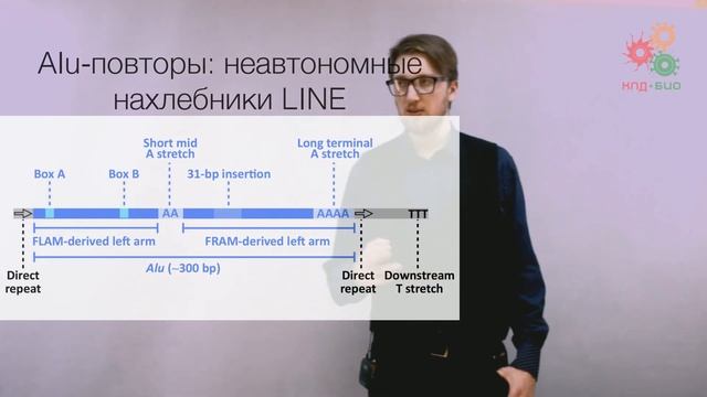 43ef767b817b87a01d4d84663c75189f