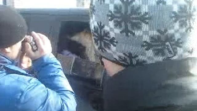 SundownAudio&Бусик из Волгодонска)