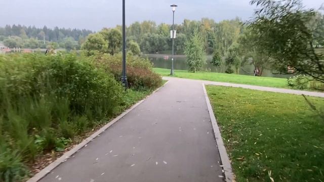 День города (Зеленоград)