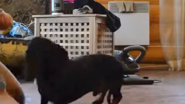 0cac8d184648a94cb3961bd4d43ab3e0