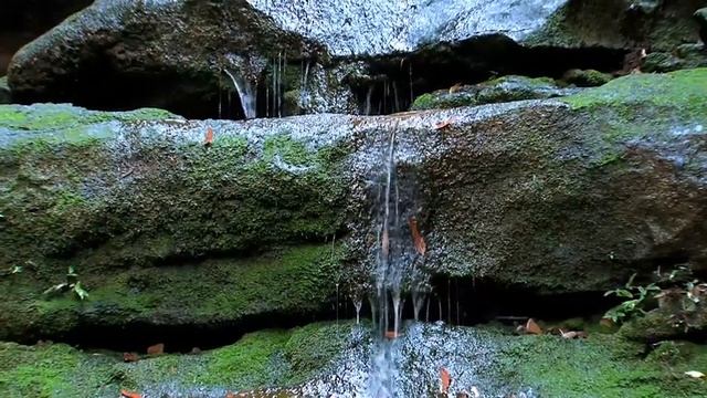 Relaxing Music With Nature Sounds, Piano Music For Sleeping, Studying And Relaxation