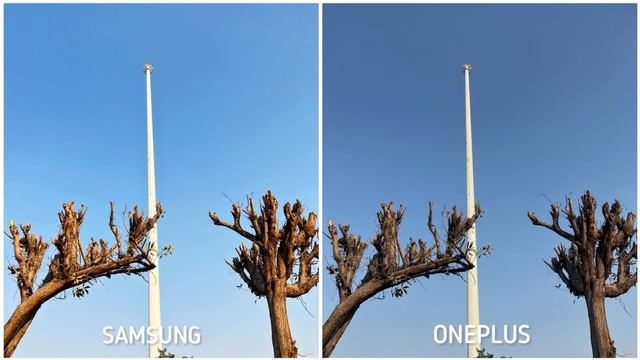Samsung Galaxy S23 vs OnePlus 11 Camera Test
