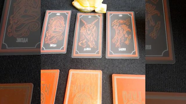 8c151b4ff5b18841376ab2da2f6a01cc