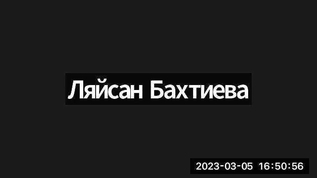 Зимнее путешествие 