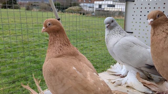 С наступающим новым годом!