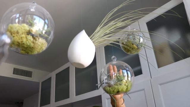 Luna Grey - Hanging Terrarium At Home