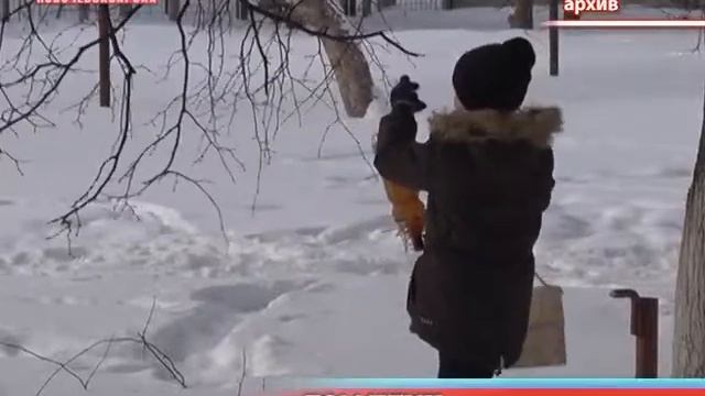 В Ельниковской роще ко Дню Птиц вывесят новые скворечники