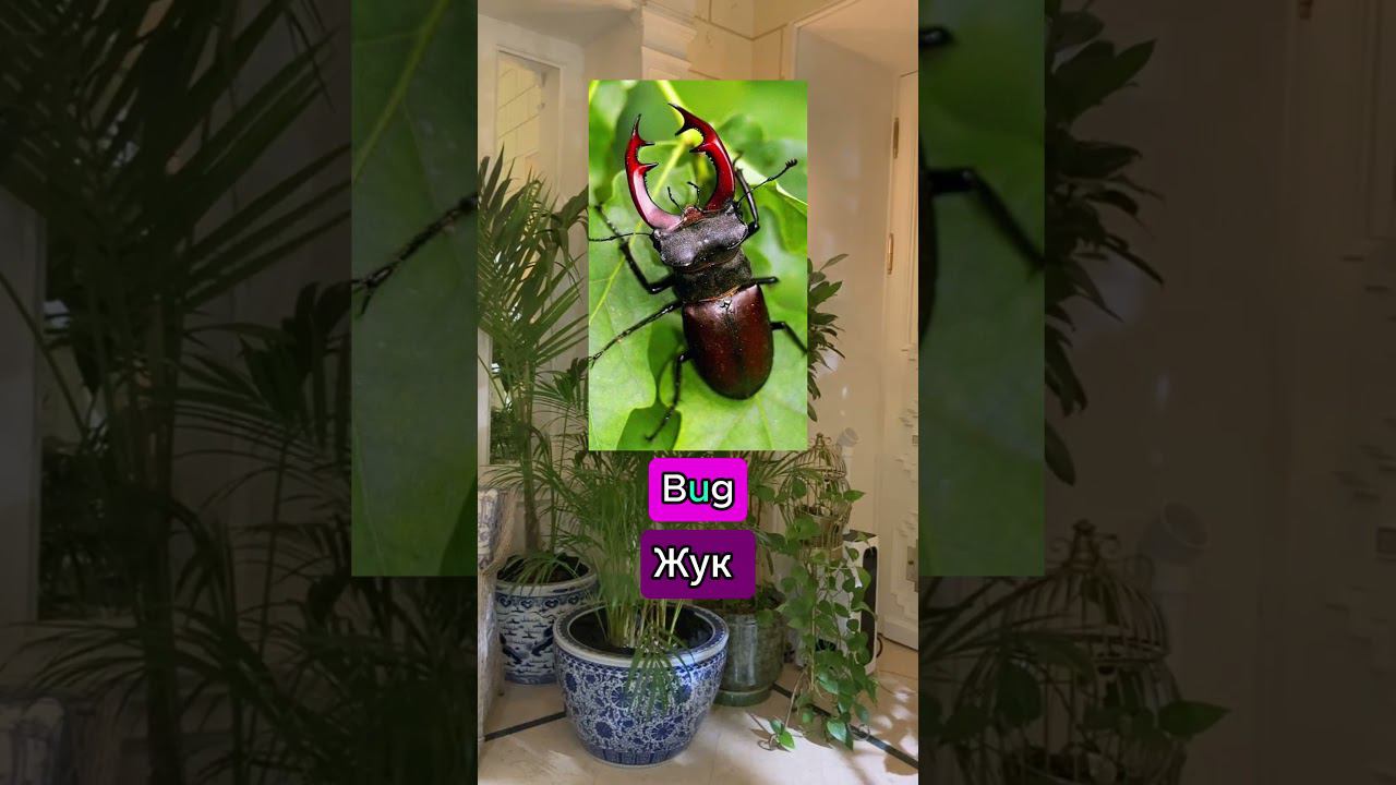 3406c23fb1b86080433b6e569dba807a