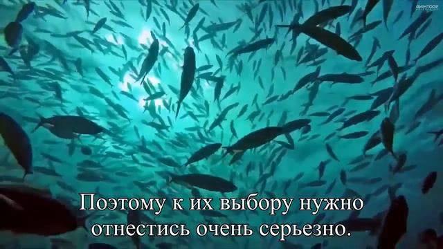 Правила хорошего отпуска  — Статья